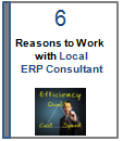 ERP Consultant Download